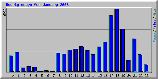 Hourly usage for January 2006